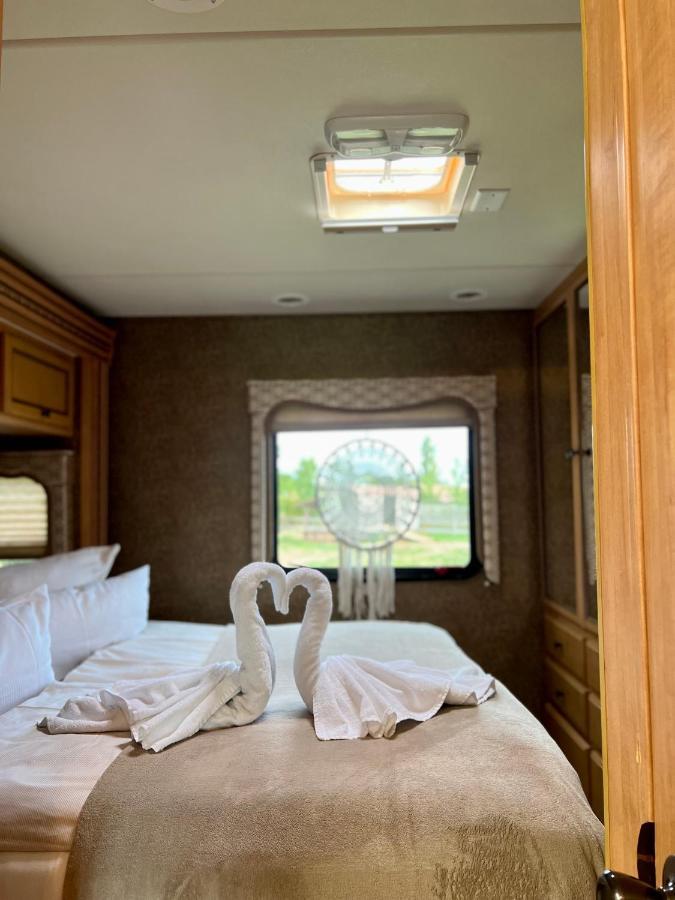 Lieblingsplatz Parey - Tiny House Leilighet Eksteriør bilde