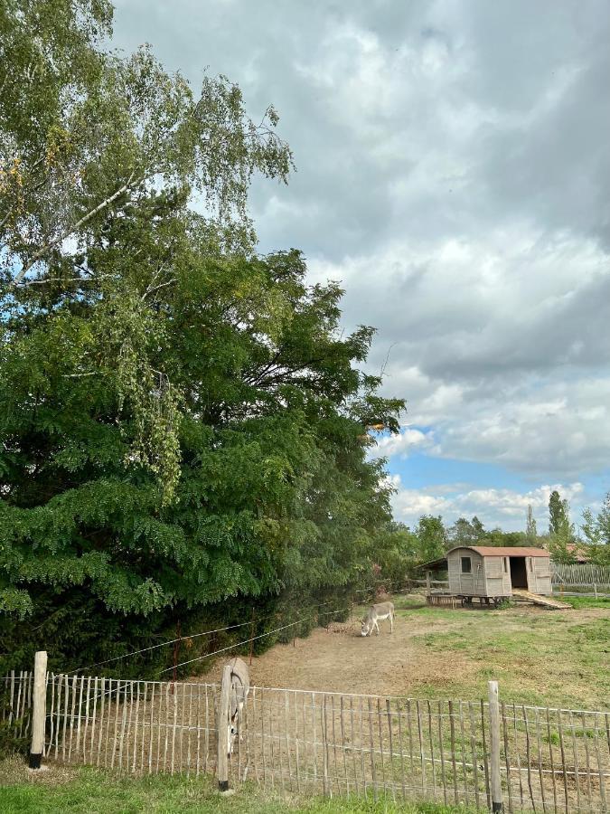Lieblingsplatz Parey - Tiny House Leilighet Eksteriør bilde